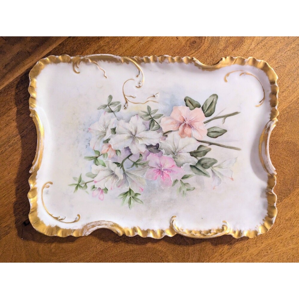 Haviland & Co Limoges France Victorian Floral Hand Painted Porcelain Tray